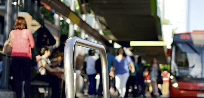 Uno de cada cinco municipios cumple con programas de inclusión