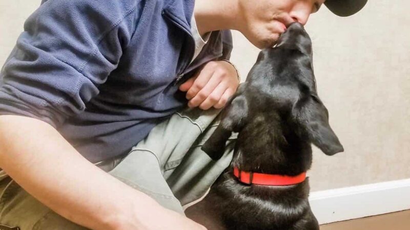 Un joven siendo lamido por su perro en la cara