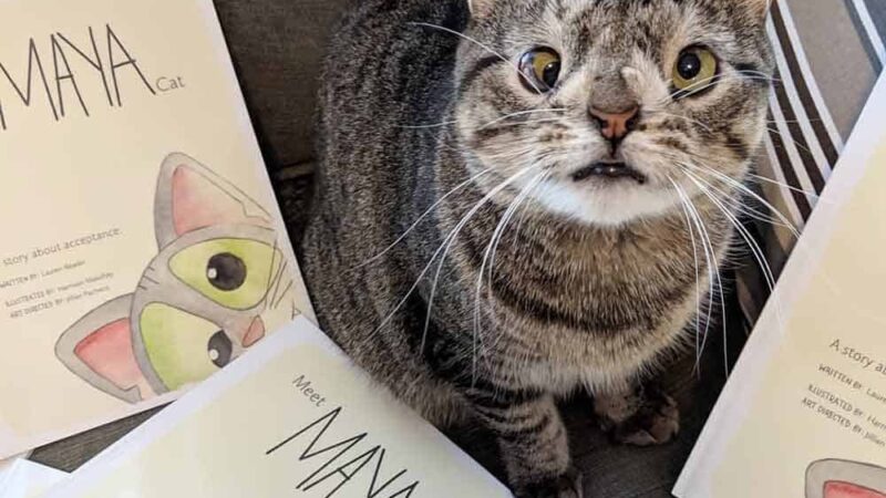 Maya la gata con “síndrome de Down” que tiene su propio libro