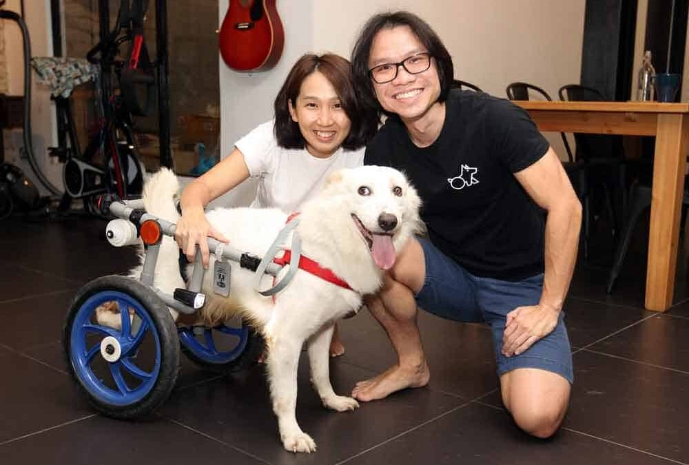En una casa, aparece una mujer, un hombre y un perro en silla de ruedas. Están sonriendo a la cámara.