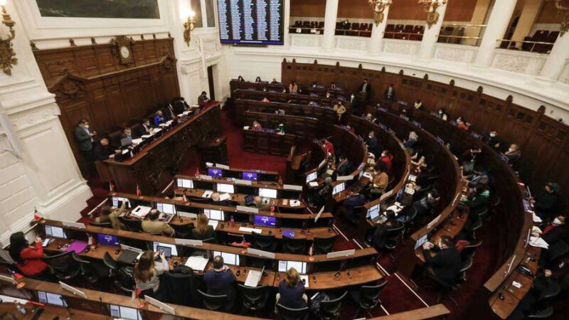 Aprobado: Personas en situación de discapacidad serán reconocidas como sujetos de derecho en Nueva Constitución