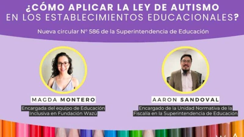 Webinar «¿Cómo aplicar la Ley de Autismo en los establecimientos educacionales?»