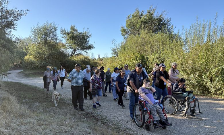 Diversas personas paseando por un camino emprendado