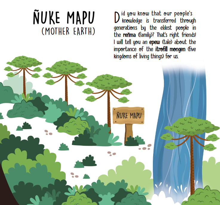 Ilustración de araucarias, una cascadajunto aun texto en inglés que explica qué es la Ñuke Mapu