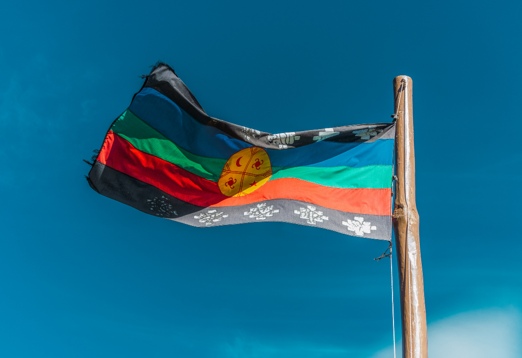 Bandera mapuche flameando al viento
