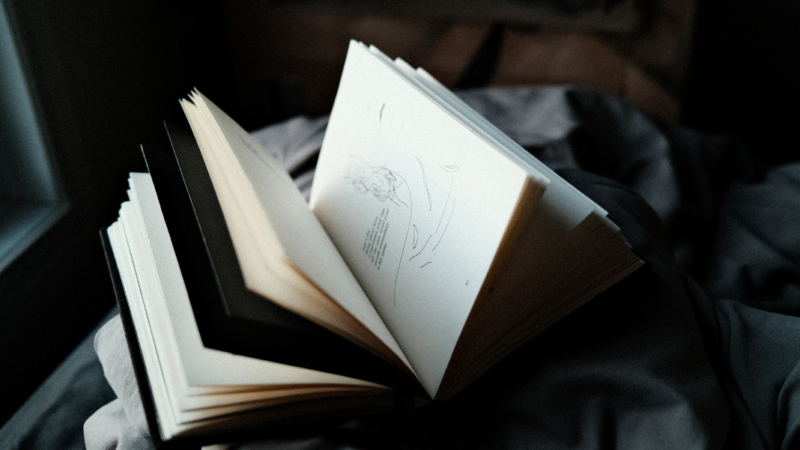 imagen de un libro abierto