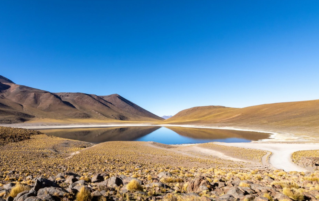 Fotografía de un oasis en medio del desierto de atacama