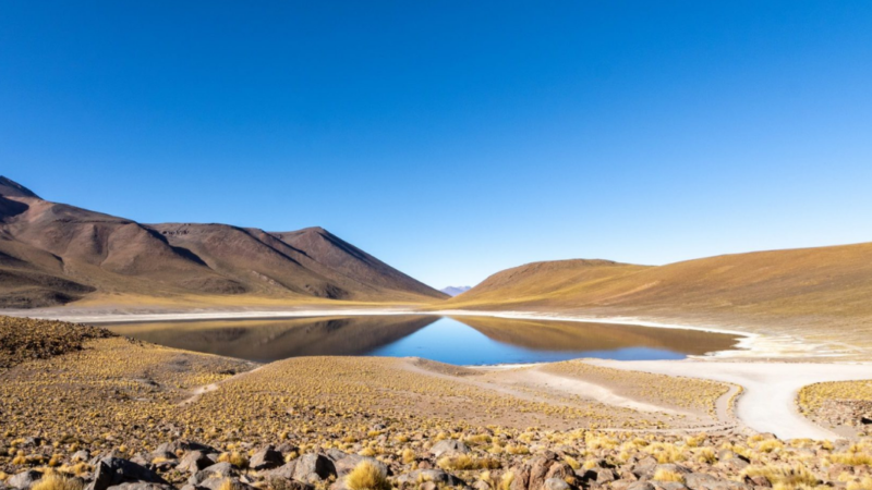 Desde las ciencias, los territorios y culturas ancestrales: mujeres lideran construcción del futuro del Desierto de Atacama