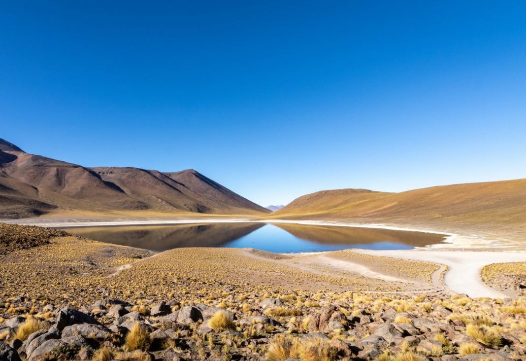 Fotografía de un oasis en medio del desierto de atacama