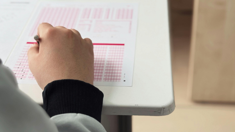 Ley de Convivencia Escolar prohibirá sancionar a estudiantes por conductas derivadas de su discapacidad
