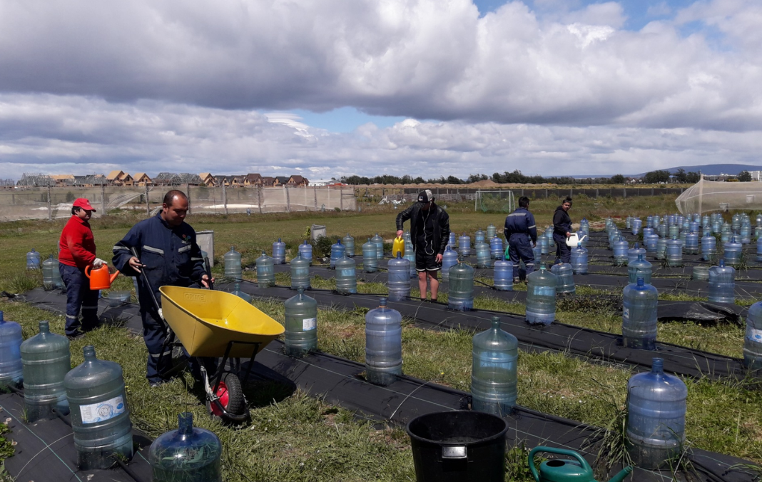 Varias personas trabajando en un campo