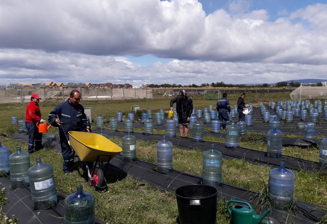 Varias personas trabajando en un campo