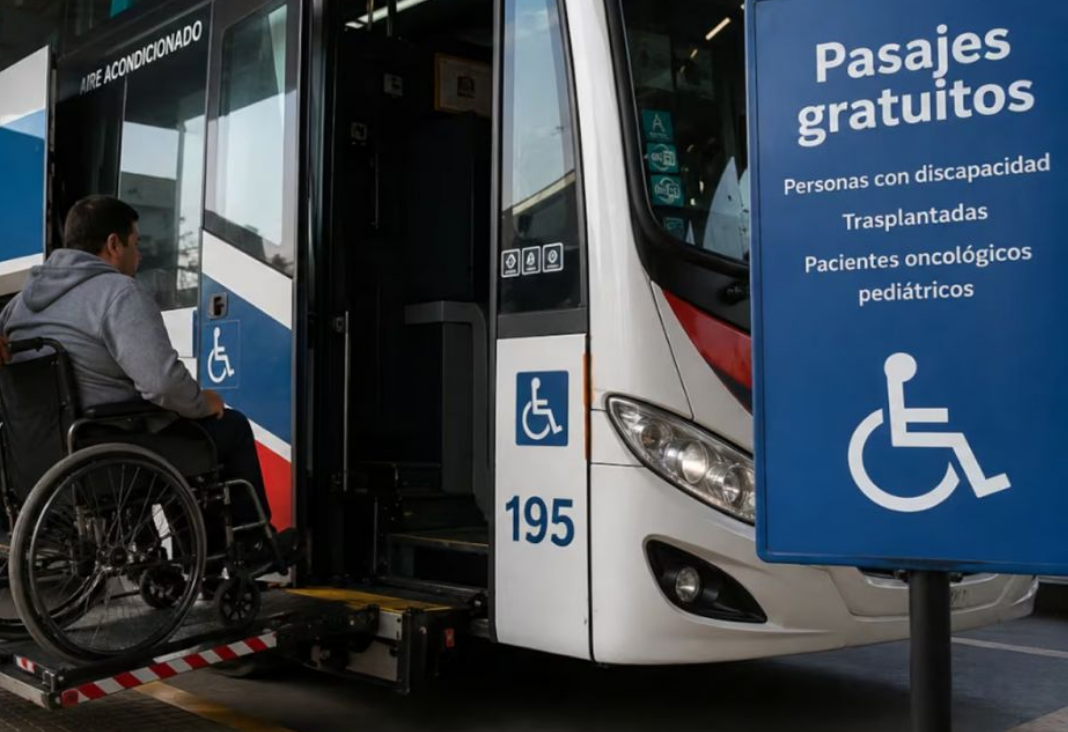 Persona en silla de ruedas subiendo a un bus