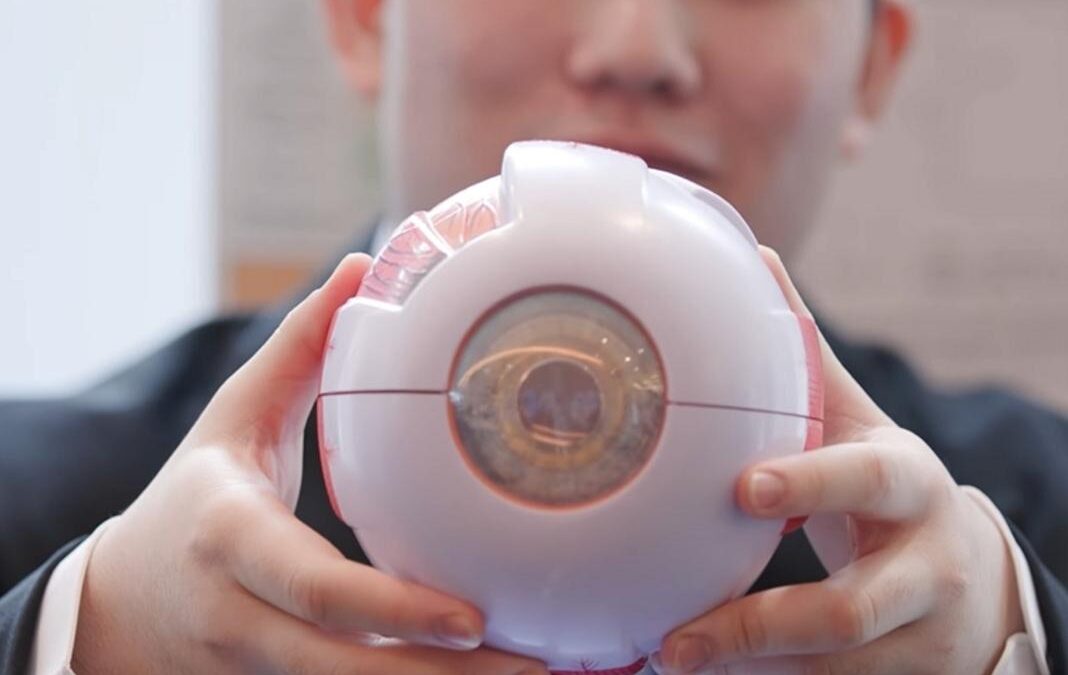 Fotografía de instrumentos para detectar autismo y TDAH a través de la retina
