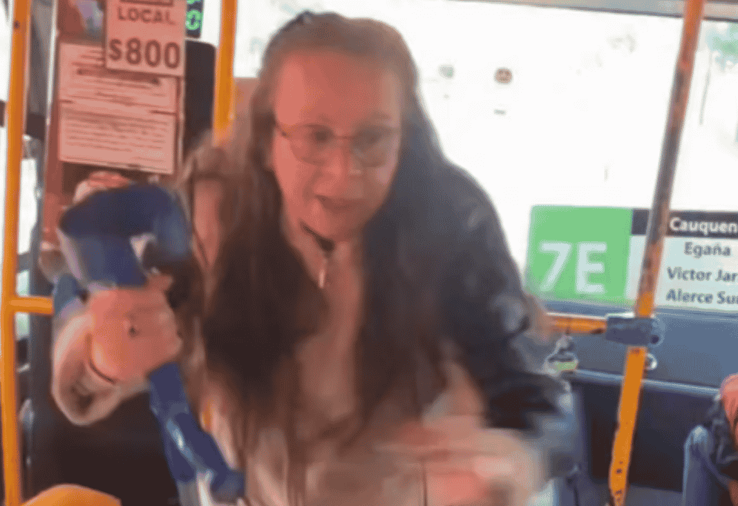 mujer mayor con muleta dentro de una micro