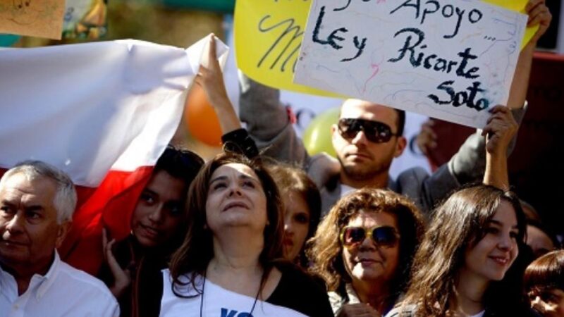 diversas personas marcha ley ricarte soto